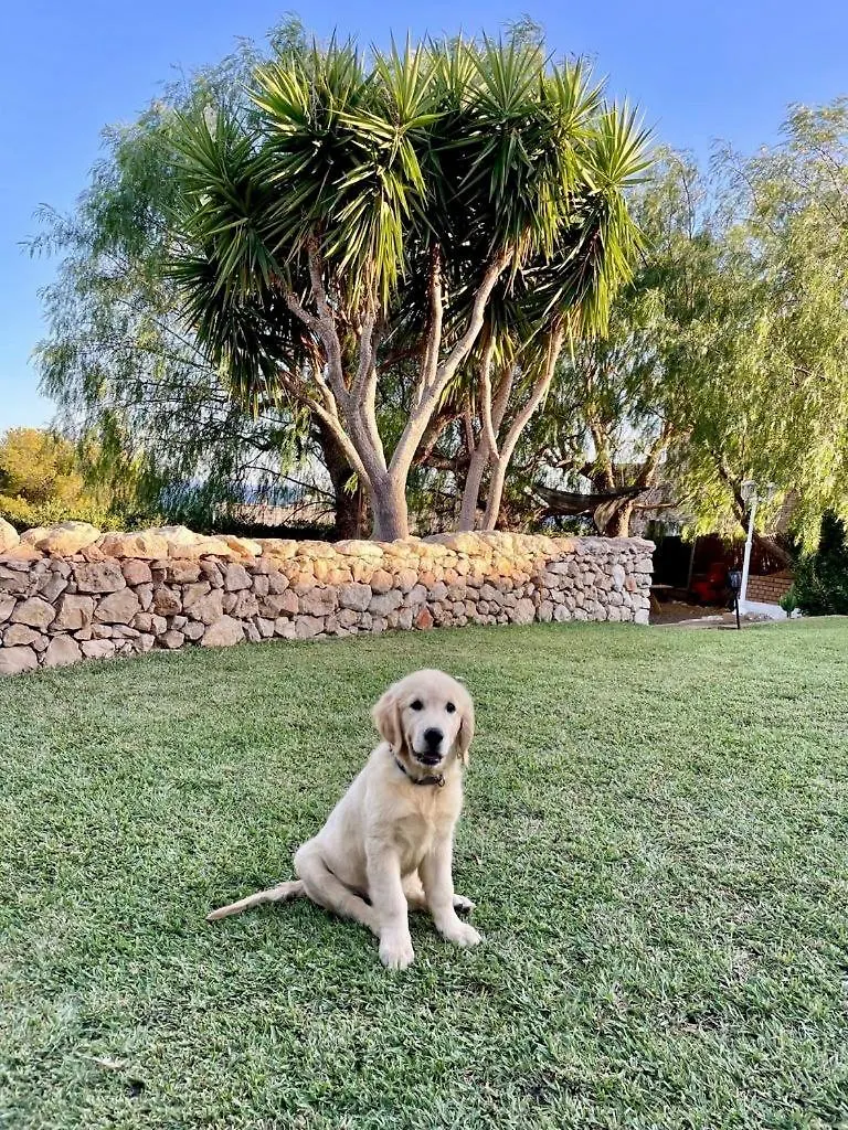 Tu Pequeno Paraiso Villa Calafell 0*,